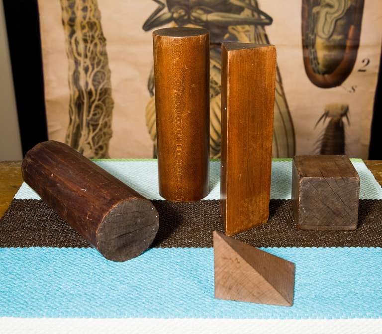 Set of five wooden academic molds. Hand-carved wood. From Belgian school house, circa 1950s.<br />
Cube measures 4x4 inches. Cylinder measures 12x 4 inches.