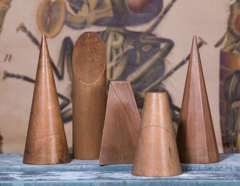 Set of five hand-carved academic molds. From a Belgian schoolhouse, circa 1940s. Each figure is around four inches wide. Each shape is of a different height ranging from 7 to 12 inches.