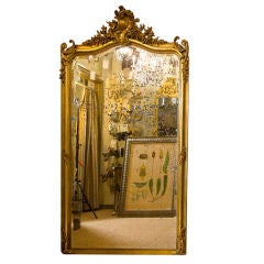 Antique Gilt Wood Rococo Mirror