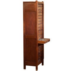 Curious insect cabinet