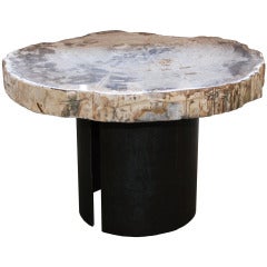 Petrified Wood Side Table Petrified Wood Side Table
