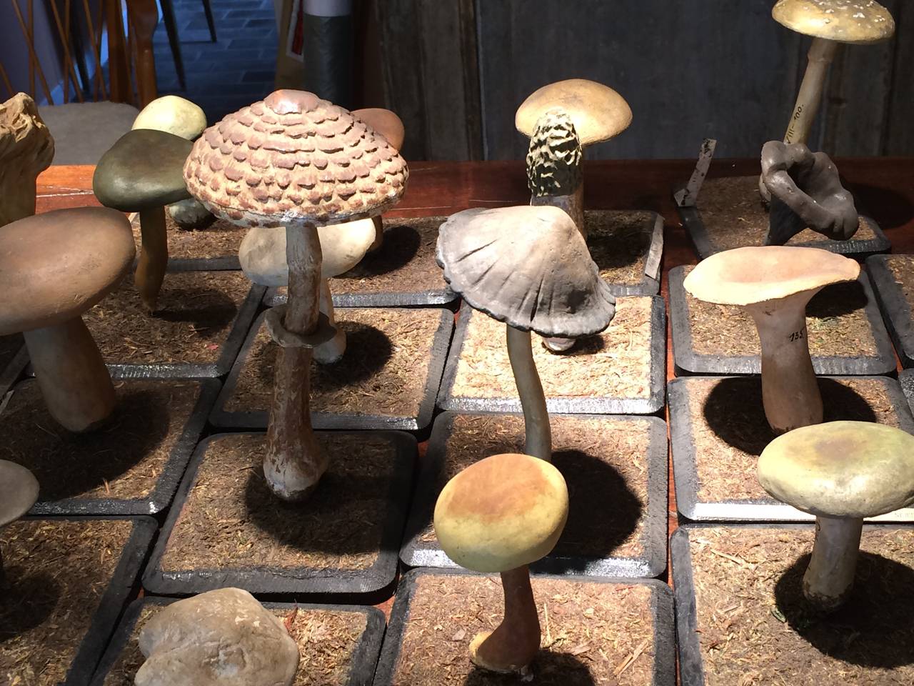 Interesting collecton of 44 plaster mushrooms from Moravia, circa 1930. Eash stamped with makes mark.