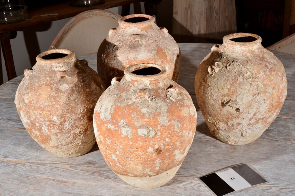 Handsome terra cotta storage jars from a ship wreck. Encrusted with coral and shells. Four avaliable. Sold by each. 14
