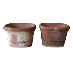 Pair Late 19th c. Planters from the Tuscan town of Impruneta