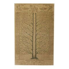Late 19th c. Pope Lineage Engraving