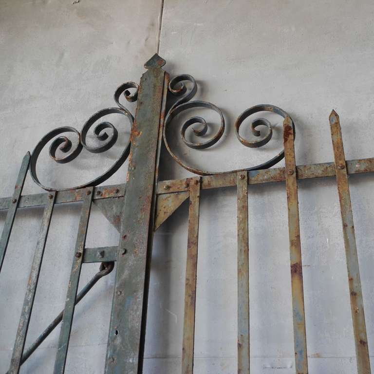 Pair 19th C. Iron Gates In Good Condition In Houston, TX
