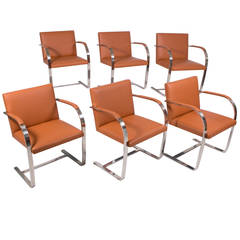 Six "Brno" Chairs Mies van der Rohe for Knoll