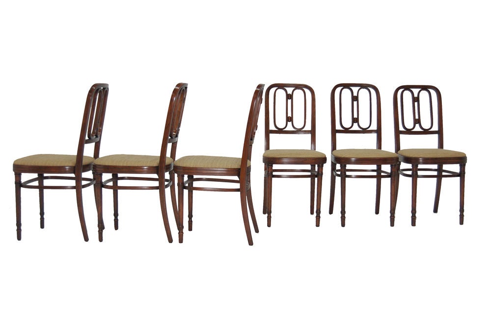 Rare set of Jacob and Josef Kohn bentwood dining chairs, design attributed to Josef Hoffman. Made in the original factory in Wsetin, Morovia during the years 1869 and 1914. Impressed J & J Kohn, Wsetin.