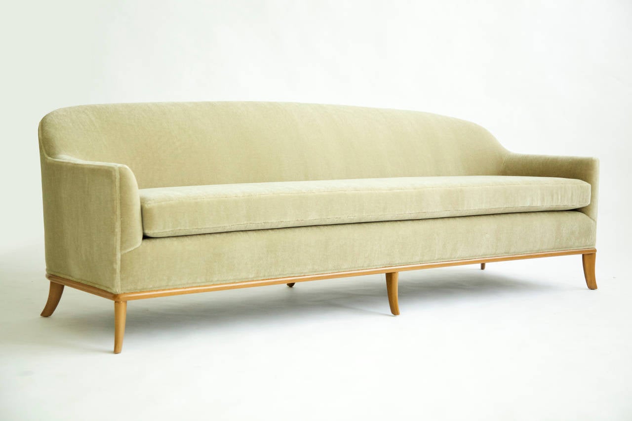 sofa saber