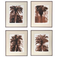 Series of Four Jim Dine Lithographs