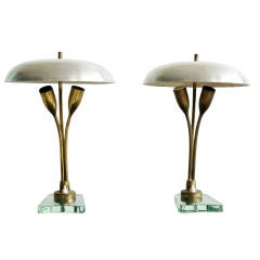 Pair of Tulip Lamps