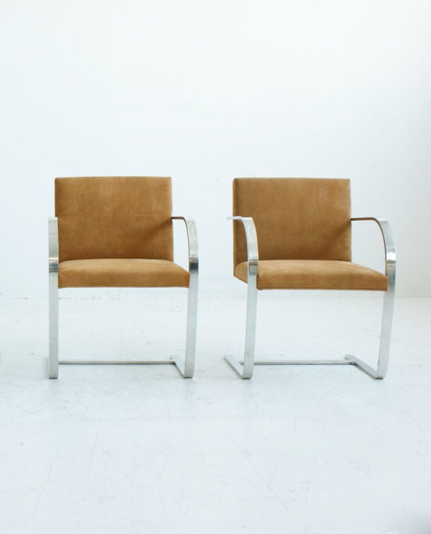 Mies Van Der Rohe for Knoll International: Set of 6 Bruno Chairs, reupholstered in baby calf Spinneybeck leather (suede).<br />
<br />
<br />
Specifications: Height: 31.5, Width: 23.5, Depth: 23.5<br />
<br />
Period: 1929/1975<br