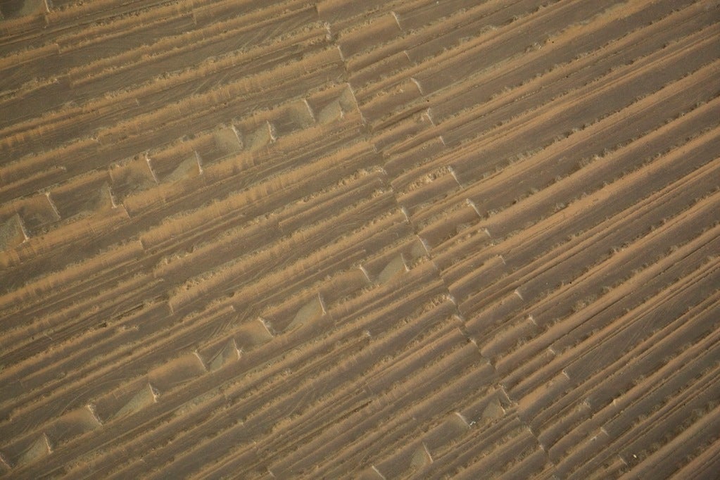 Billy Joe McCarroll and David Gillespie