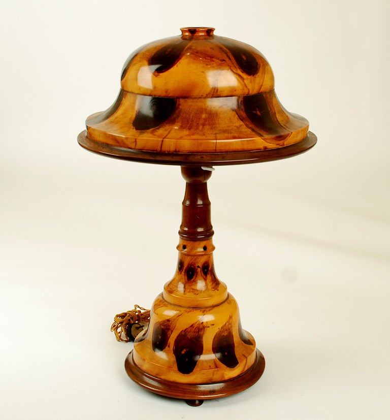 Very Rare Early 20th Century Brazilian Butterfly Wood Table Lamp 4