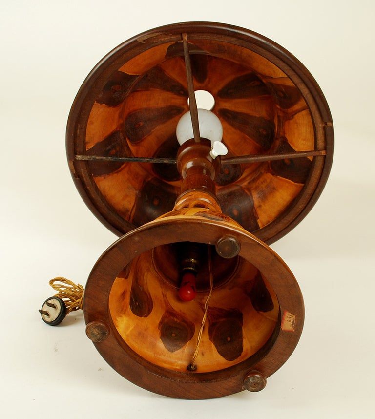 Very Rare Early 20th Century Brazilian Butterfly Wood Table Lamp 2