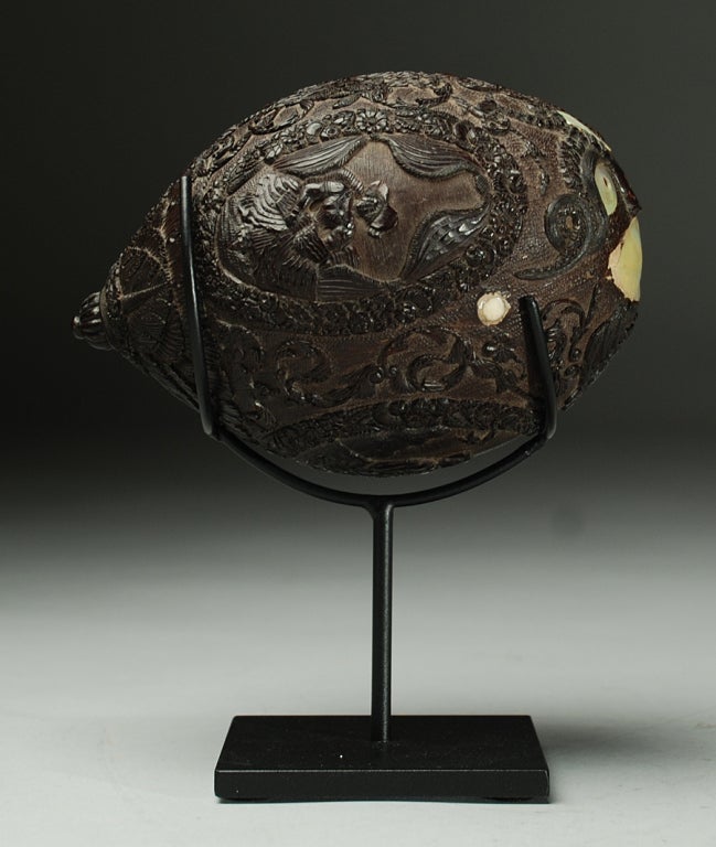 19th Century Outstanding 19th century Hand Carved Coconut Flask