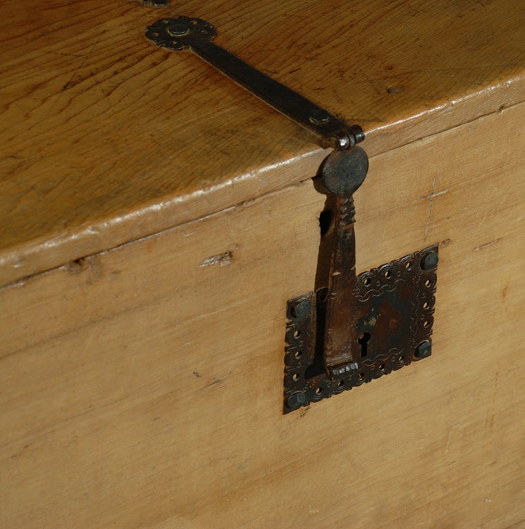 18th Century and Earlier A Good 18th Century Mexican Sabino Wood Coffer on Stand.