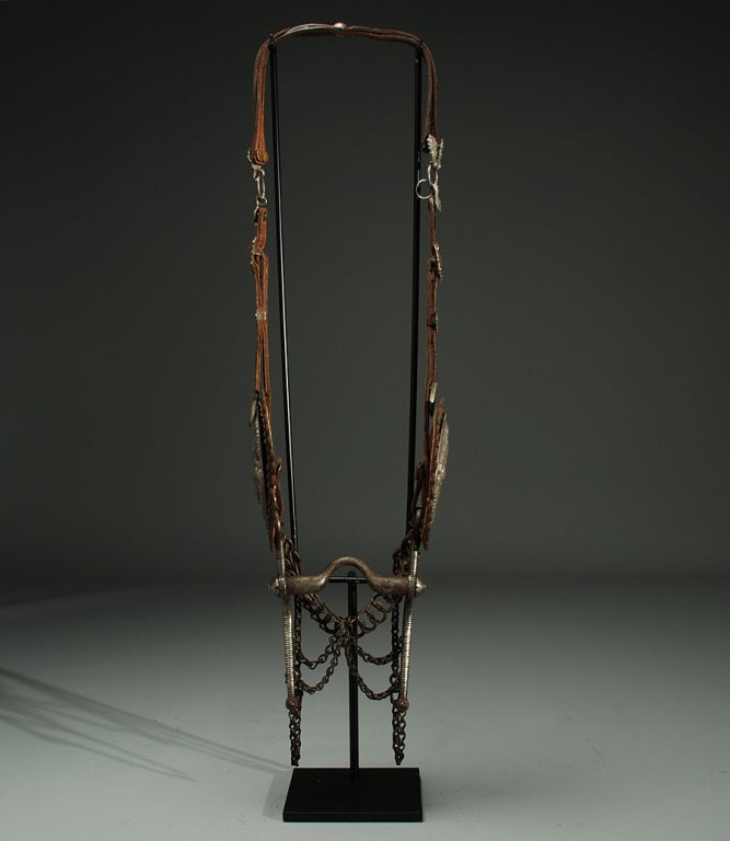 Rare Antique Mexican Horse Bridle with Silver Conchos 3