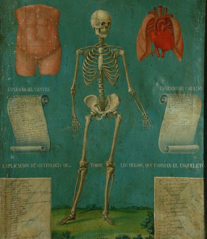 Rare 19th Century Mexican Anatomical Painting of a Skeleton In Excellent Condition In San Francisco, CA