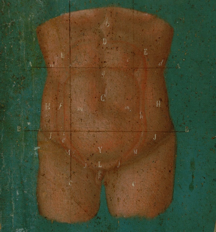 Canvas Rare 19th Century Mexican Anatomical Painting of a Skeleton