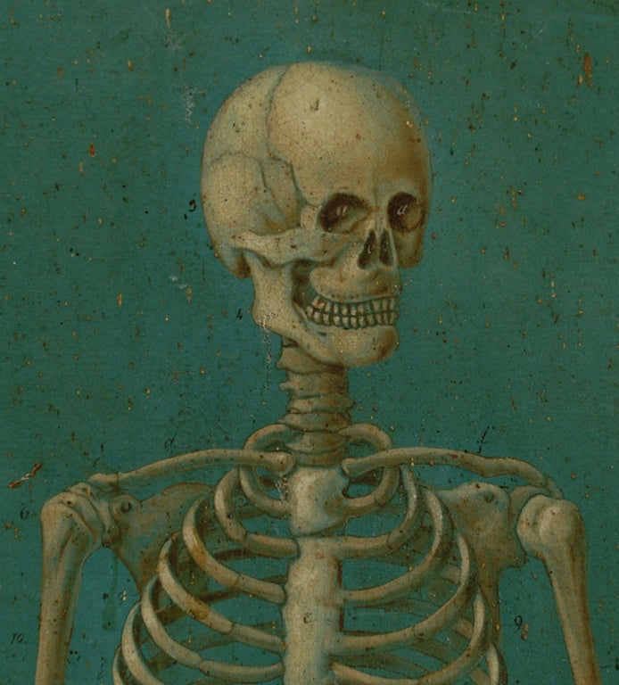 Rare 19th Century Mexican Anatomical Painting of a Skeleton 1