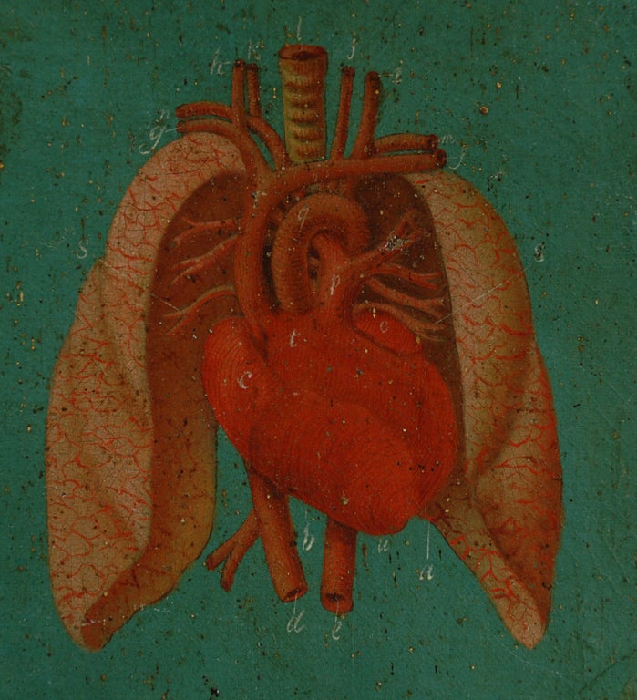 Rare 19th Century Mexican Anatomical Painting of a Skeleton 3