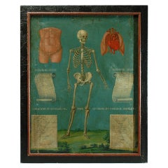 Antique Rare 19th Century Mexican Anatomical Painting of a Skeleton