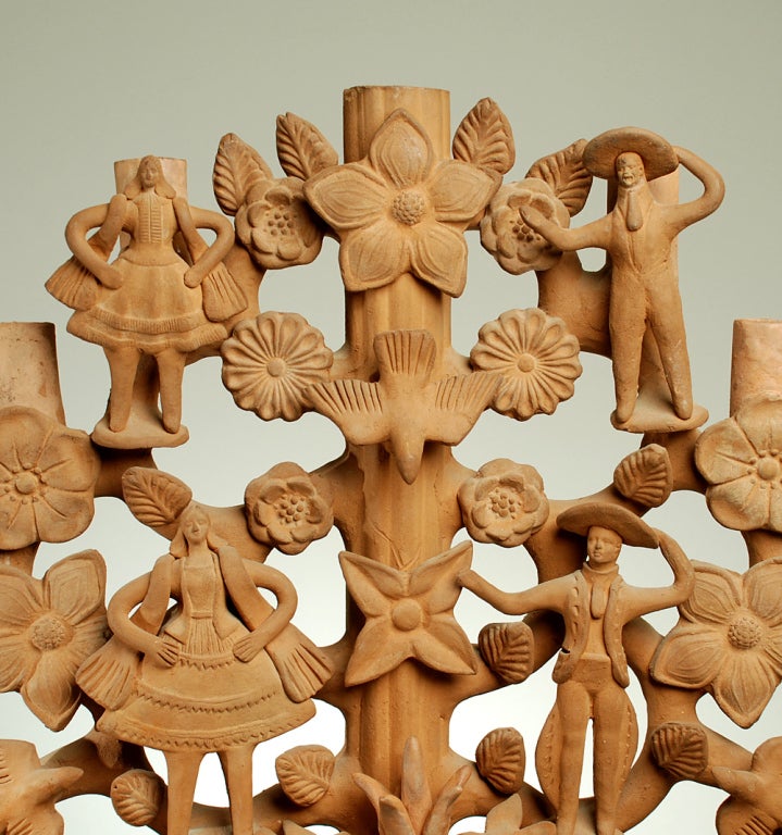 mexican candelabra tree of life