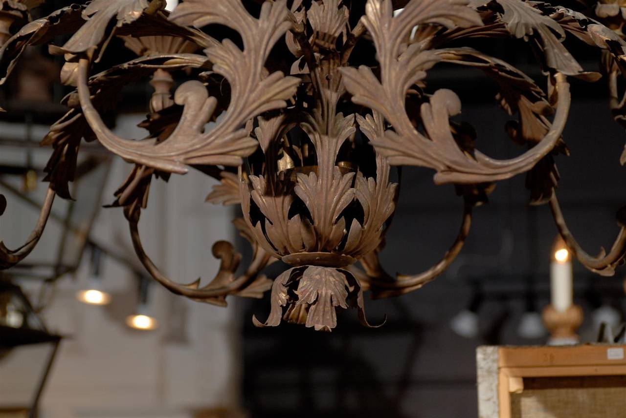 Italian 1890s Wrought Iron Eight-Light Chandelier with Scrolling Acanthus Leaves im Angebot 2