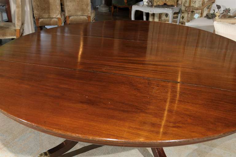 Irish Mahogany Table with Birdcage Pedestal 3
