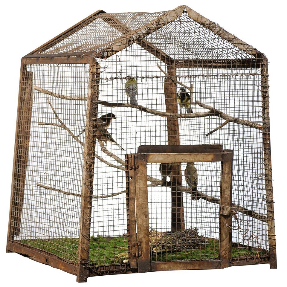 Bird Cage Botanica