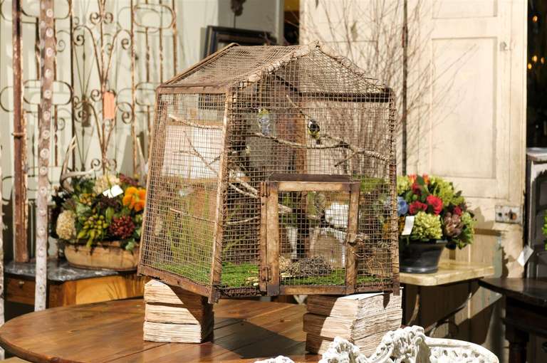 American Bird Cage Botanica