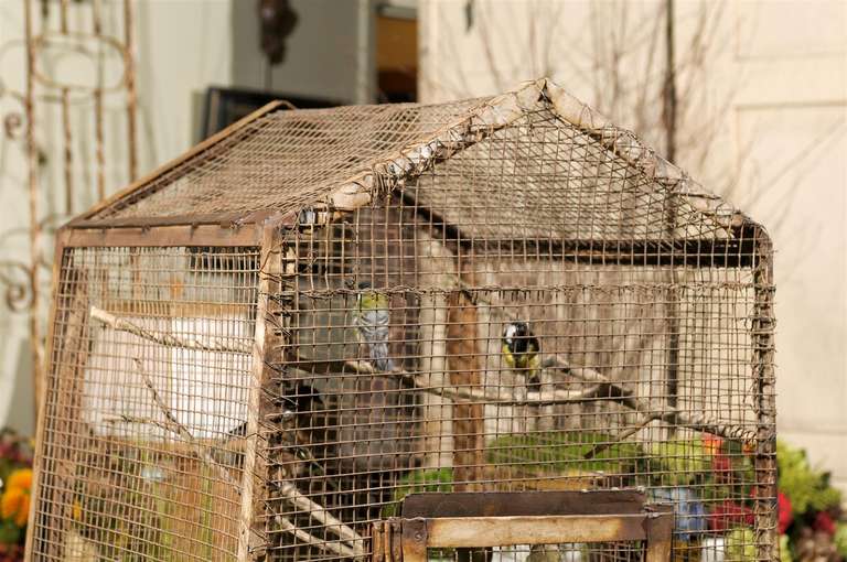 Contemporary Bird Cage Botanica