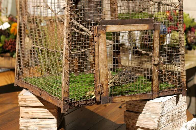 Bird Cage Botanica 1