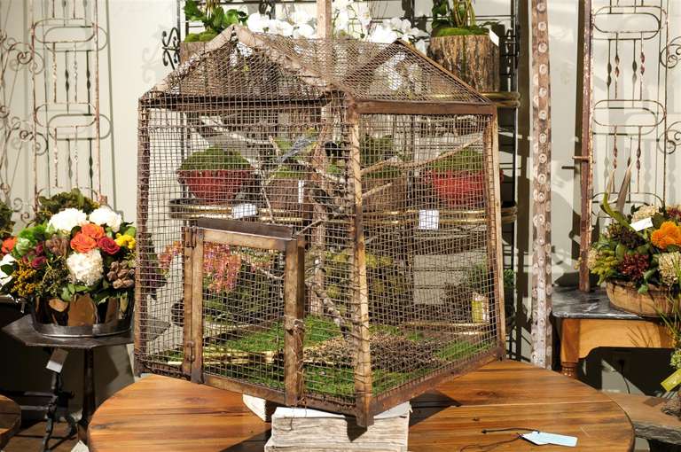 Bird Cage Botanica 3