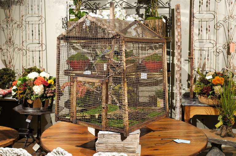 Bird Cage Botanica 4