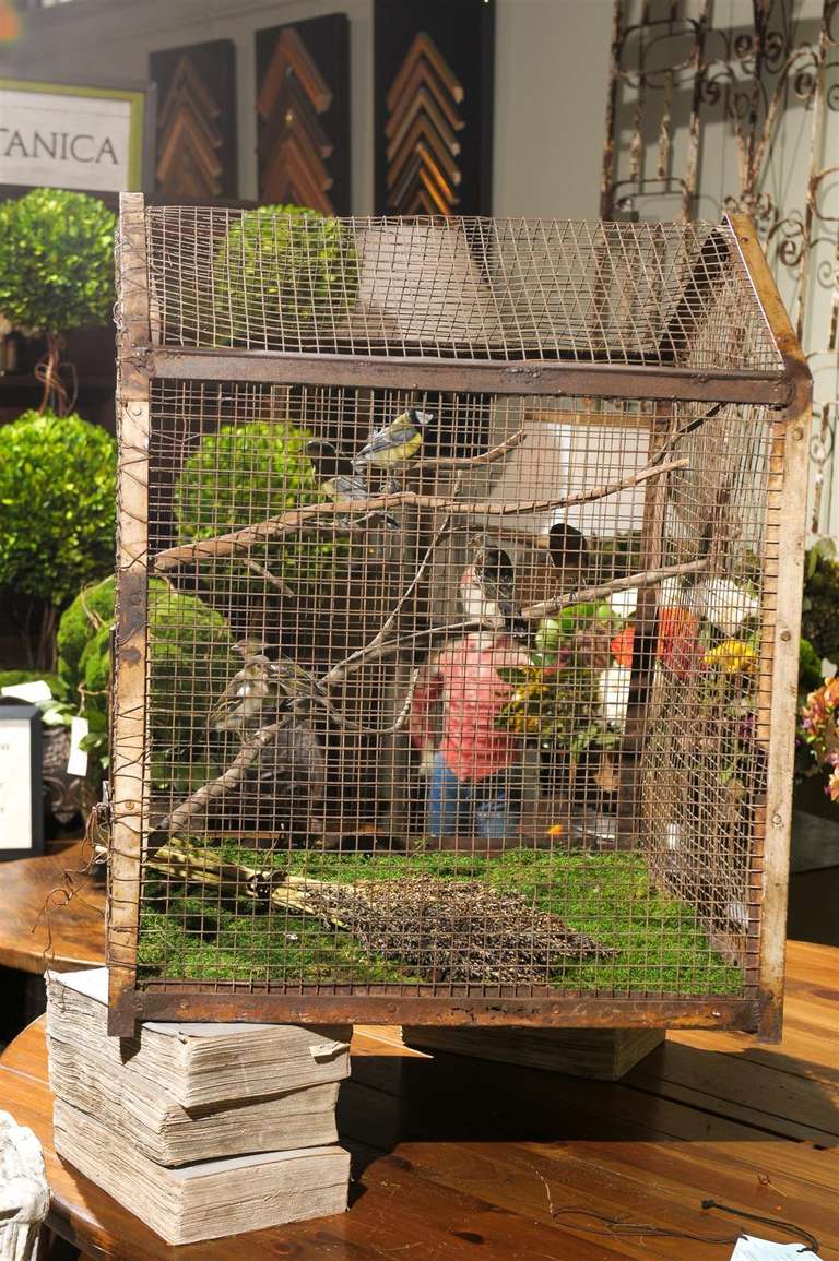 Bird Cage Botanica 5
