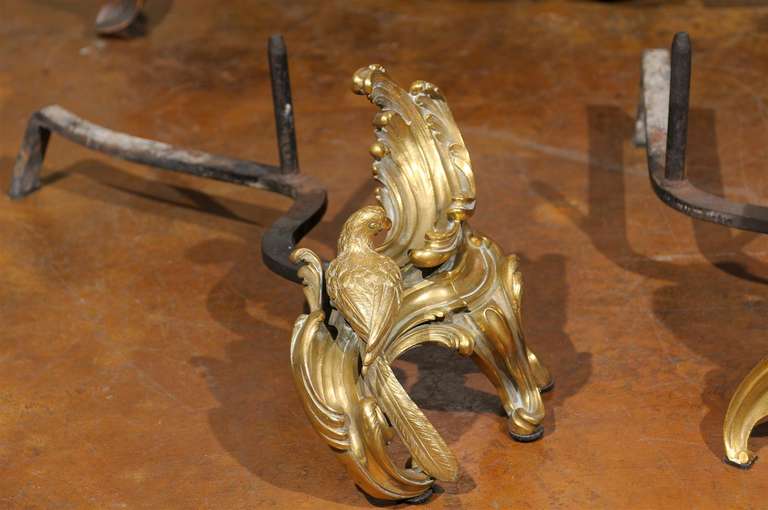 19th Century Pair of Rococo Style Gilt Bronze & Wrought Iron Andirons For Sale