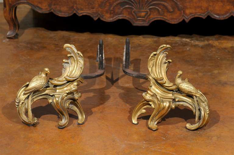 Pair of Rococo Style Gilt Bronze & Wrought Iron Andirons For Sale 1