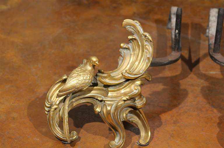 Pair of Rococo Style Gilt Bronze & Wrought Iron Andirons For Sale 2