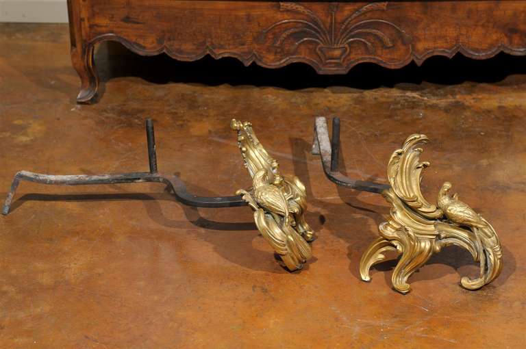 Pair of Rococo Style Gilt Bronze & Wrought Iron Andirons For Sale 3