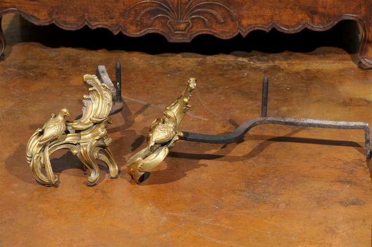 Pair of Rococo Style Gilt Bronze & Wrought Iron Andirons For Sale 5