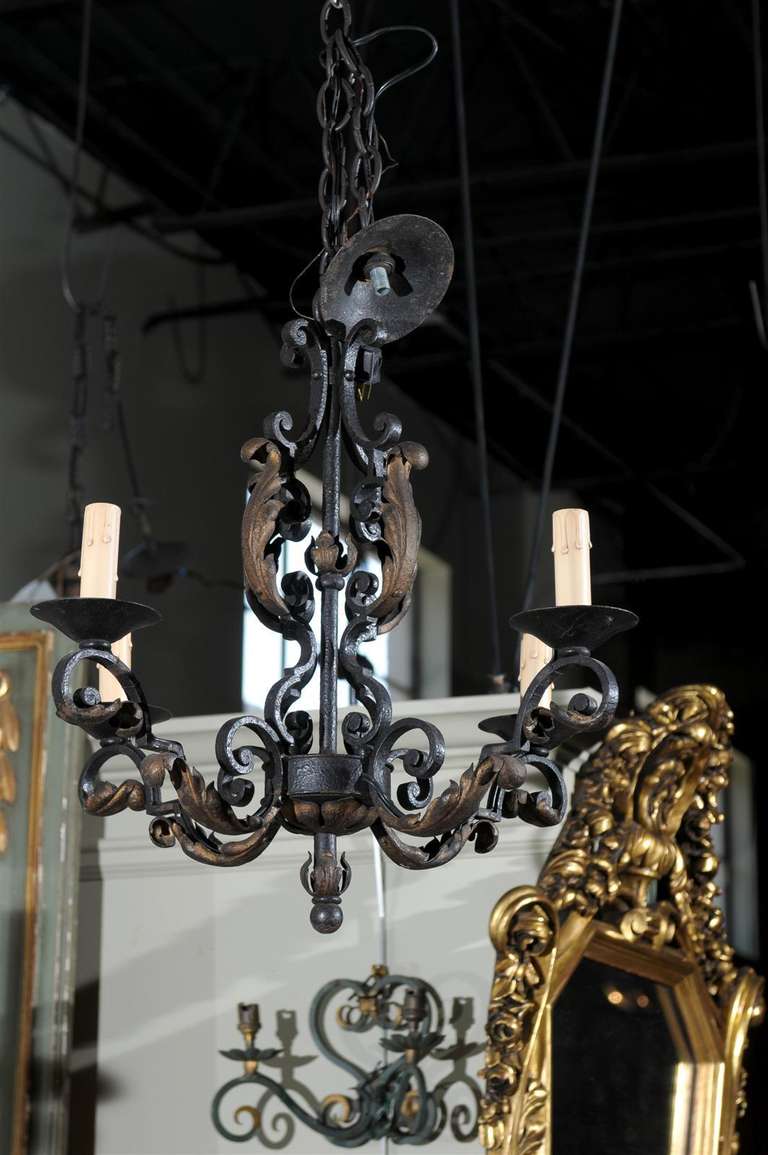 Early 20th century four light French iron chandelier, newly wired, with scrolling C-form arms with acanthus leaf decoration. 