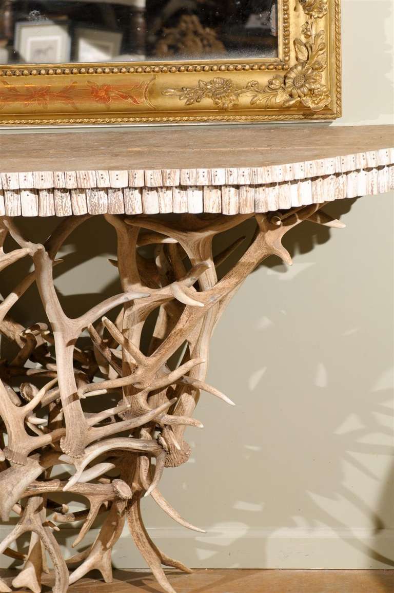 19th Century Pair of Antler Console Tables For Sale