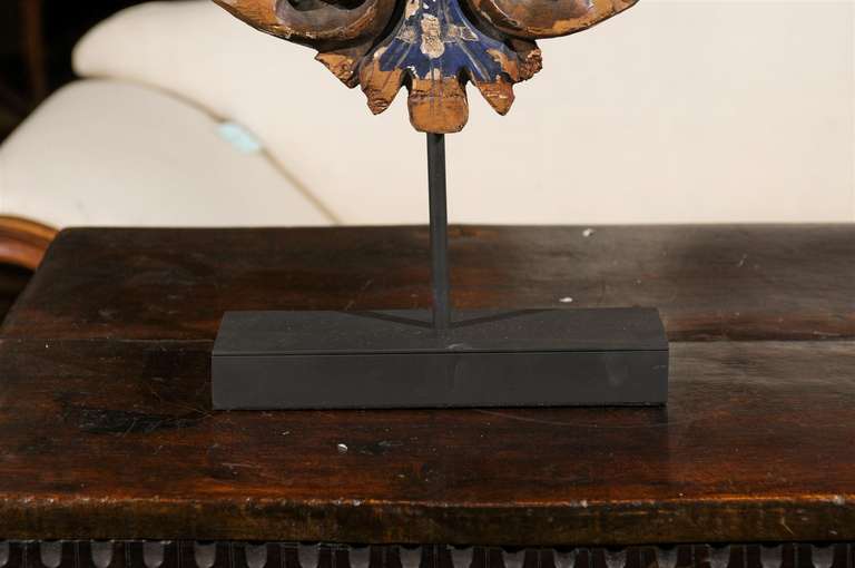 French Wood Shell Fragment on Stand For Sale 2