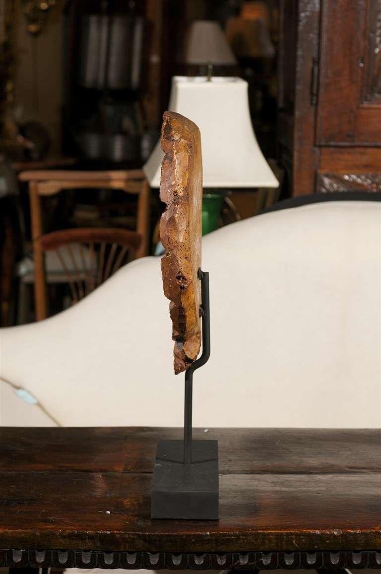 French Wood Shell Fragment on Stand For Sale 6