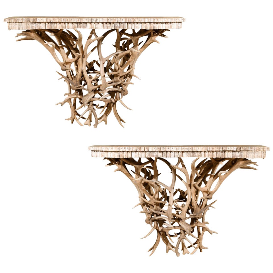 Pair of Antler Console Tables For Sale