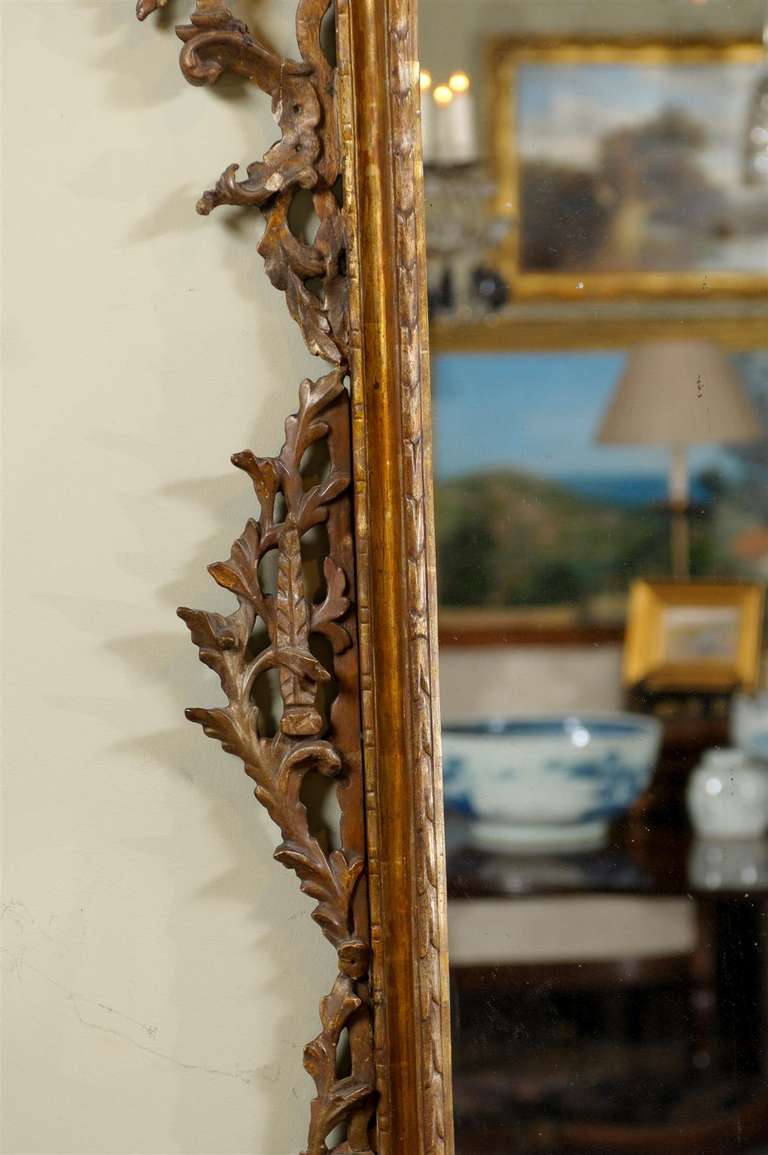 18th Century Giltwood Tuscan Mirror 3
