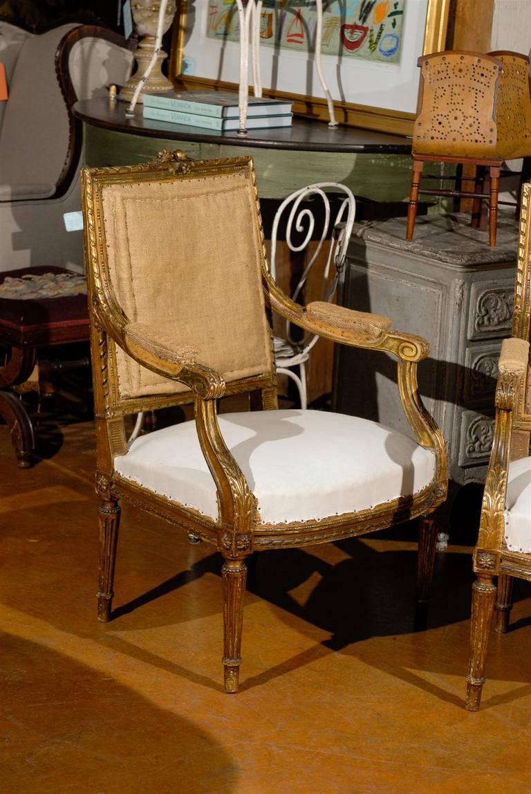 Pair of Gilded Louis XVI Style Side Chairs 5