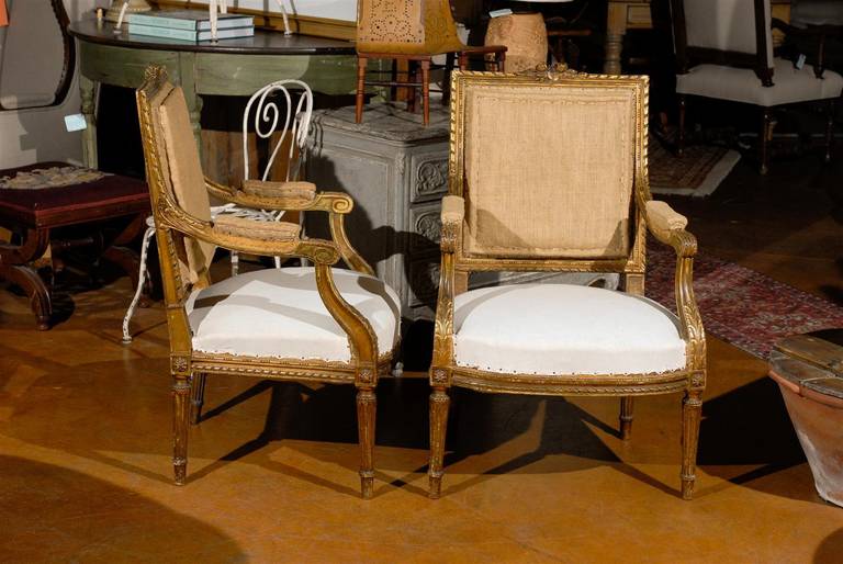 Burlap Pair of Gilded Louis XVI Style Side Chairs